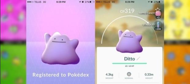 Liberaron a Ditto en Pokémon Go, y esto hace que el juego vuelva a estar en el centro de atención. Liberaron a Ditto en Pokémon Go, y esto hace que el juego vuelva a estar en el centro de atención.