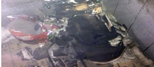 Mulher acaba destruindo banheiro, para matar uma barata Mulher acaba destruindo banheiro, para matar uma barata