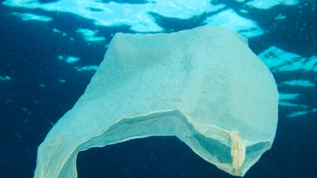 Basta alle buste di plastica nei negozi - ilfattoalimentare.it