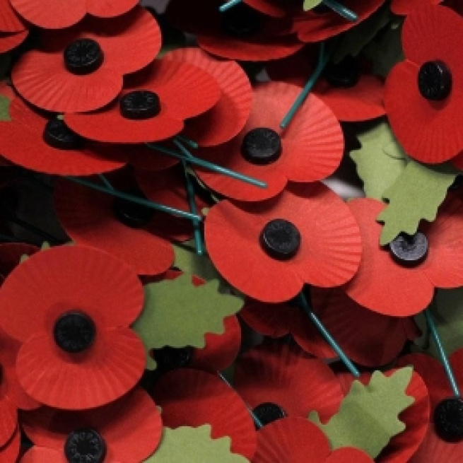 The paper poppy of remembrance