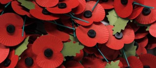 The paper poppy of remembrance