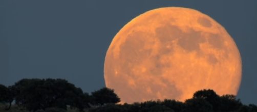 Superluna 2016 Italia quando e a che ora vederla