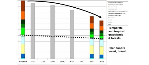 Biodiversity Loss in Thailand - slideshare.net Biodiversity Loss in Thailand - slideshare.net