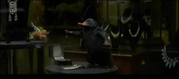 Capture d'écran de la bande-annonce du film "Les Animaux Fantastiques" Capture d'écran de la bande-annonce du film "Les Animaux Fantastiques"