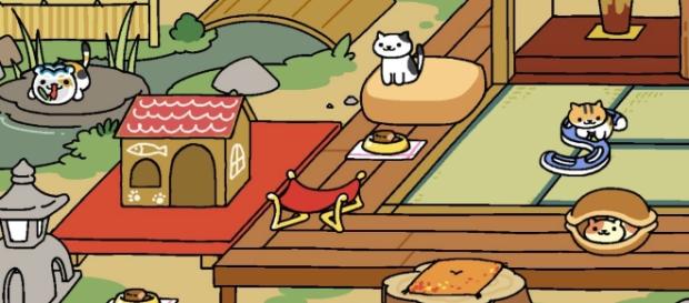 Cat game Neko Atsume set to become live-action film - gamezebo.com Cat game Neko Atsume set to become live-action film - gamezebo.com