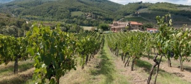 Eine Azienda Agricola im Piemont Quelle: Pixabay Eine Azienda Agricola im Piemont Quelle: Pixabay