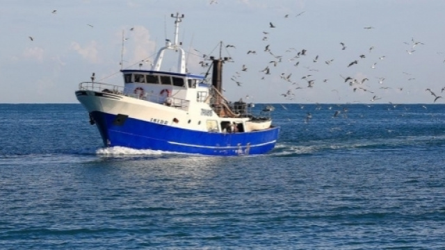 Rilasciati i pescherecci sequestrati in Egitto Micalizzi ... - federazionearmatori.it