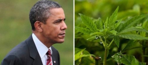 Barack Obama favorevole alla legalizzazione federale della marijuana