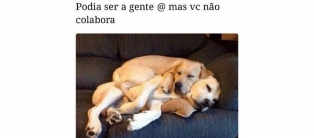 Podia ser a gente mas você não colabora. Podia ser a gente mas você não colabora.