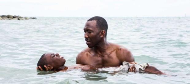 La La Land' poised to sing out in Golden Globe nominations ... - ourmidland.com La La Land' poised to sing out in Golden Globe nominations ... - ourmidland.com