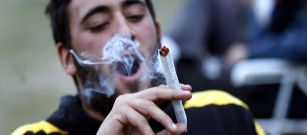 Maconha prejudica relação entre olhos e cérebro, diz estudo Maconha prejudica relação entre olhos e cérebro, diz estudo