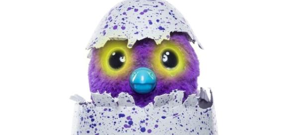 Where can you buy one of the Hatchimals? Photo: Blasting News Library - irishmirror.ie Where can you buy one of the Hatchimals? Photo: Blasting News Library - irishmirror.ie