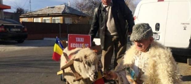 Țăranu Sărac din județul Vrancea Țăranu Sărac din județul Vrancea