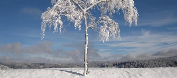 Winter - Free images on Pixabay - pixabay.com Winter - Free images on Pixabay - pixabay.com
