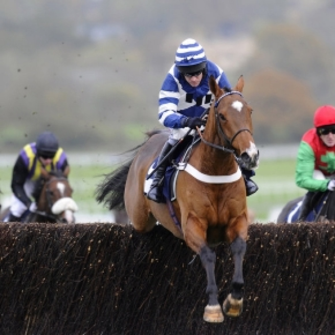 Horse Racing Tips | Tips and Free Bets - tipsandfreebets.co.uk