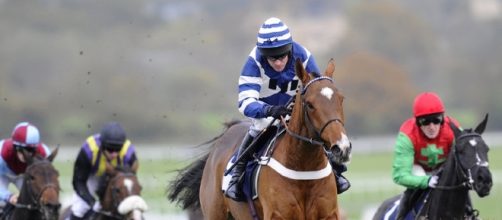 Horse Racing Tips | Tips and Free Bets - tipsandfreebets.co.uk