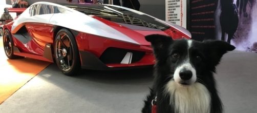 Tante supercar esposte in questa edizione del Motor Show.