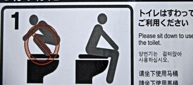Das tun Deutsche auf der Toilette Das tun Deutsche auf der Toilette