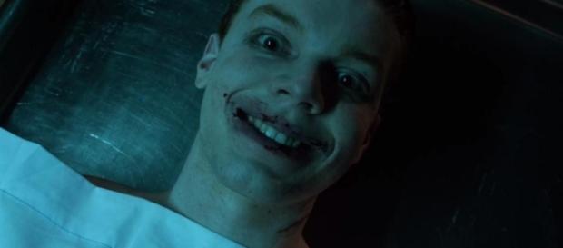 Gotham: ¿Veremos a Jerome Valeska como el Joker en la temporada 3 ... - melty.es Gotham: ¿Veremos a Jerome Valeska como el Joker en la temporada 3 ... - melty.es