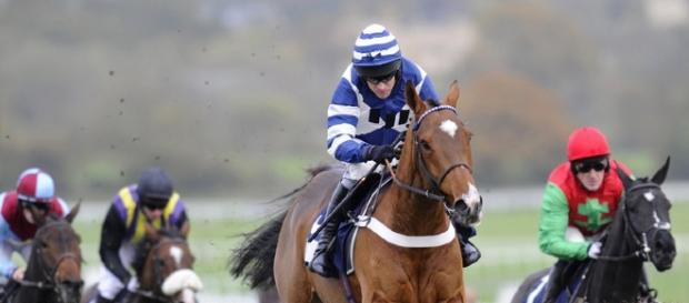 Horse Racing Tips | Tips and Free Bets - tipsandfreebets.co.uk Horse Racing Tips | Tips and Free Bets - tipsandfreebets.co.uk