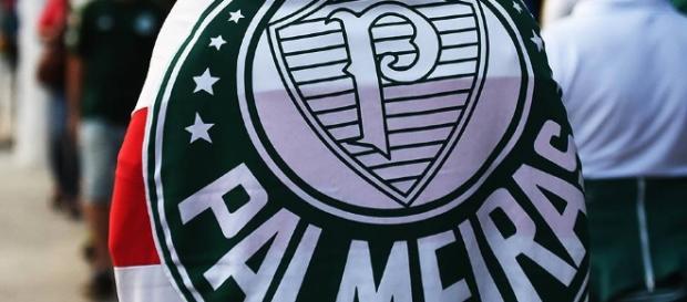 Torcedor do Palmeiras ostenta bandeira Torcedor do Palmeiras ostenta bandeira