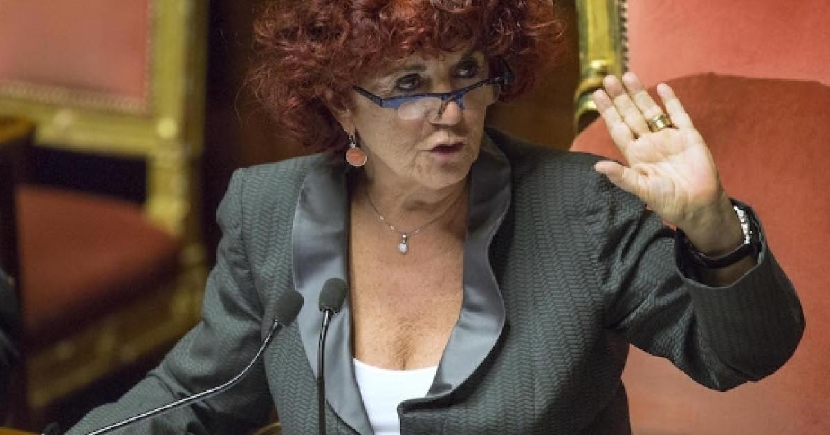 Curriculum vitae examples pdf image