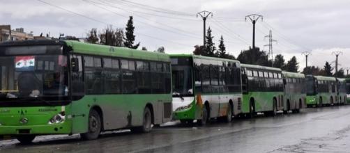 Bus utilizzati per l'evacuazione città di Aleppo (via Dawn)