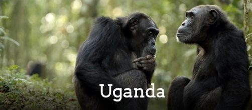 Uganda - top destination del 2017