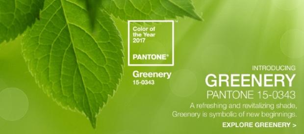 PANTONE 15-0343 Greenery è il colore dell'anno 2017 PANTONE 15-0343 Greenery è il colore dell'anno 2017