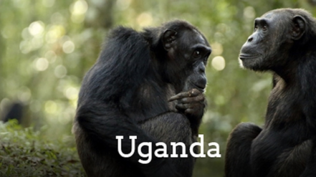 Uganda - top destination del 2017
