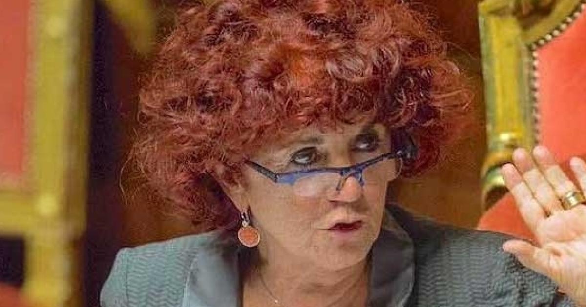 Fedeli curriculum vitae 05 image