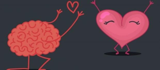 As reações do nosso cérebro diante de uma paixão que se transforma em amor. As reações do nosso cérebro diante de uma paixão que se transforma em amor.