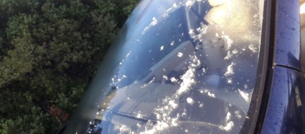 Ghiaccio sulle auto nel Salento. Ghiaccio sulle auto nel Salento.