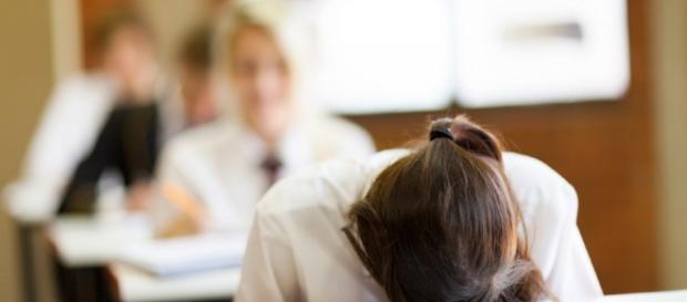 Orientation scolaire des décrocheurs : quel avenir ? Orientation scolaire des décrocheurs : quel avenir ?