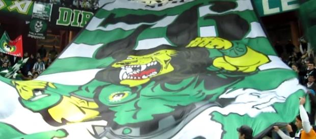 Sporting visita Bonfim esta quarta-feira. Sporting visita Bonfim esta quarta-feira.