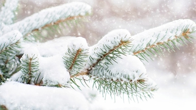 Previsioni del tempo per la seconda metà di dicembre