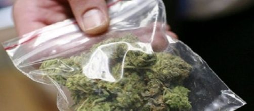 Legalizzando la marijuana non aumenta il consumo tra i giovani: il caso americano