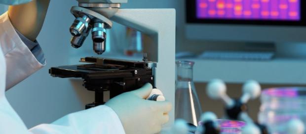 Gran Bretaña aprueba la ley sobre combinación de ADN de 3 padres Gran Bretaña aprueba la ley sobre combinación de ADN de 3 padres