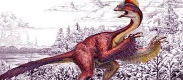 hallan plumas de dinosaurio y se c hallan plumas de dinosaurio y se c