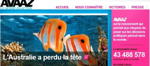 L'équipe du site de pétitions Avaaz estime que son activité sera menacée par Donald Trump L'équipe du site de pétitions Avaaz estime que son activité sera menacée par Donald Trump