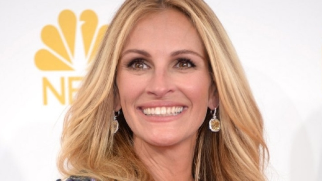 Julie Roberts playing lawyer in 'Train Man' | Hollywood Reporter - hollywoodreporter.com