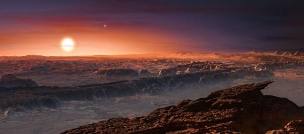 Earth-like planet Proxima b could be home to human life and turn ... - mirror.co.uk Earth-like planet Proxima b could be home to human life and turn ... - mirror.co.uk