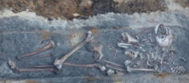 Um dos esqueletos na Polônia tinha sinais de que uma estaca foi enfiada no peito Um dos esqueletos na Polônia tinha sinais de que uma estaca foi enfiada no peito
