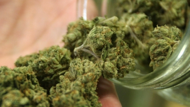 La marijuana arriva nelle farmacie dal prossimo 1&deg; gennaio