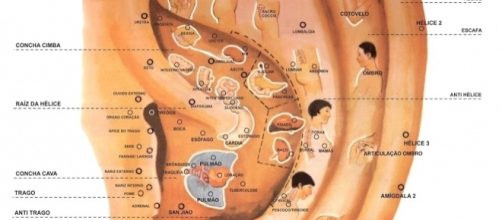 Mapa de acupuntura auricular, com ilustrações dos pontos de acupuntura