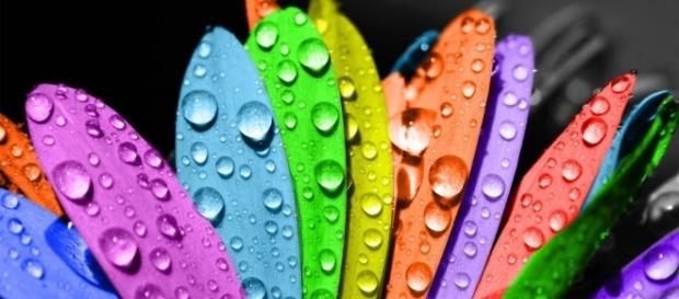 As cores para o Réveillon 2017 As cores para o Réveillon 2017