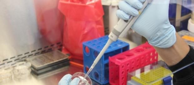 Dos nuevas vacunas contra el Sida Dos nuevas vacunas contra el Sida