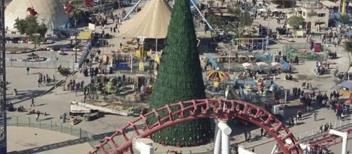 For love and peace: Iraqi businessman erects tallest Christmas ... - hindustantimes.com
