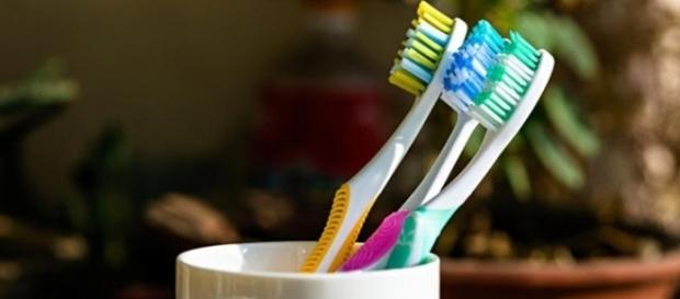Coisas que sua escova de dente pode esconder e você não sabia. Coisas que sua escova de dente pode esconder e você não sabia.