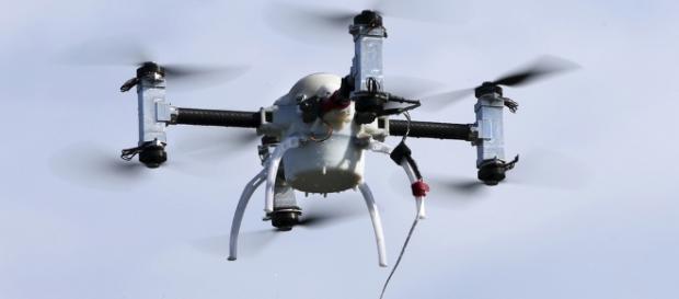 France: l'armée dresse des aigles pour intercepter des drones ... - lacote.ch France: l'armée dresse des aigles pour intercepter des drones ... - lacote.ch